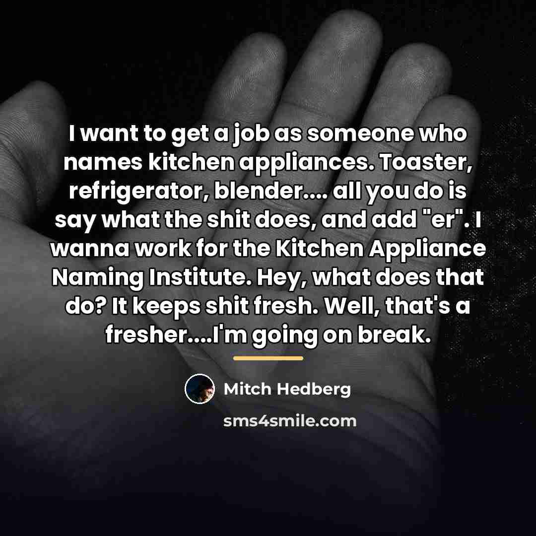 “I want to get a job as someone who names…” quote by Mitch Hedberg