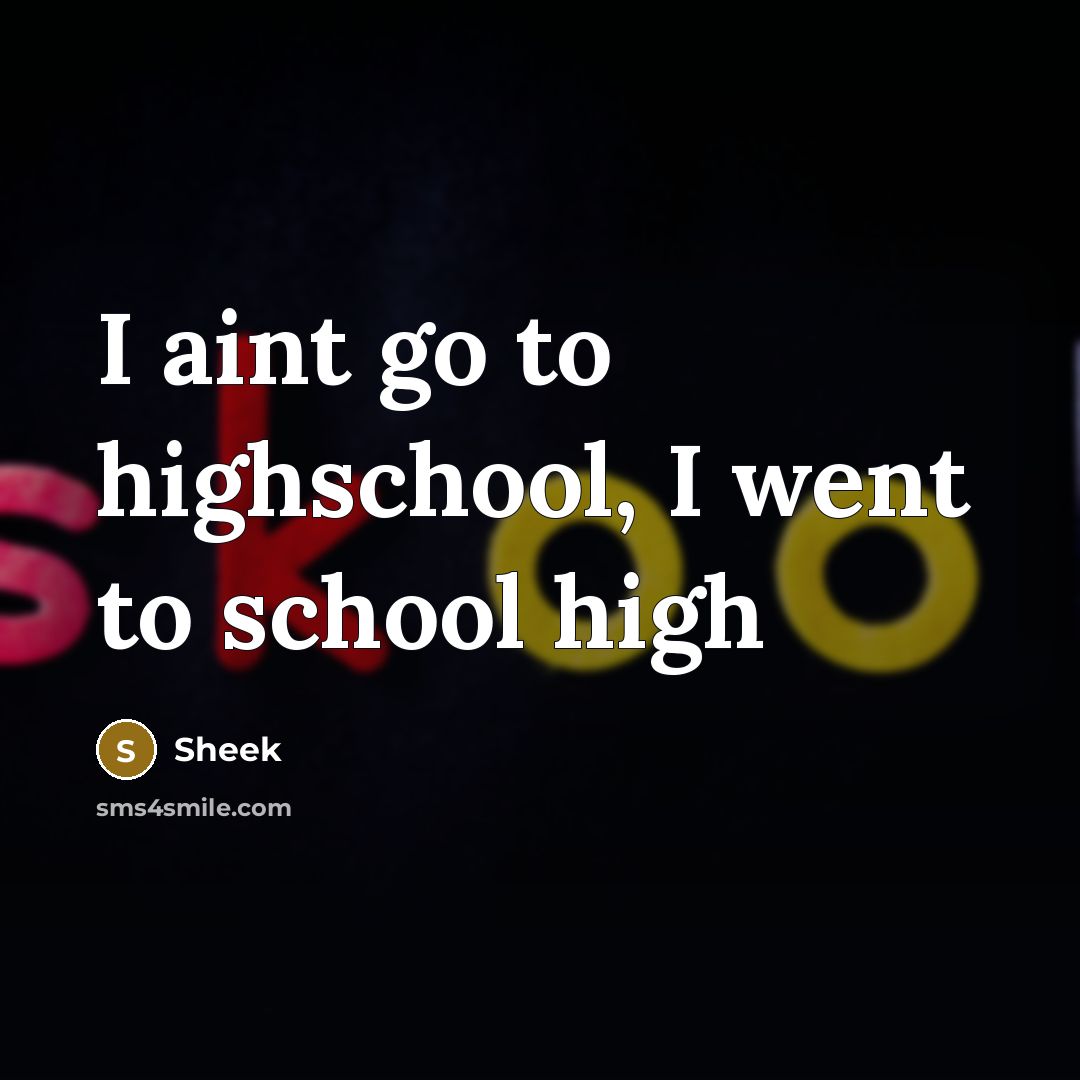 “I aint go to highschool, I went to school high” quote by Sheek