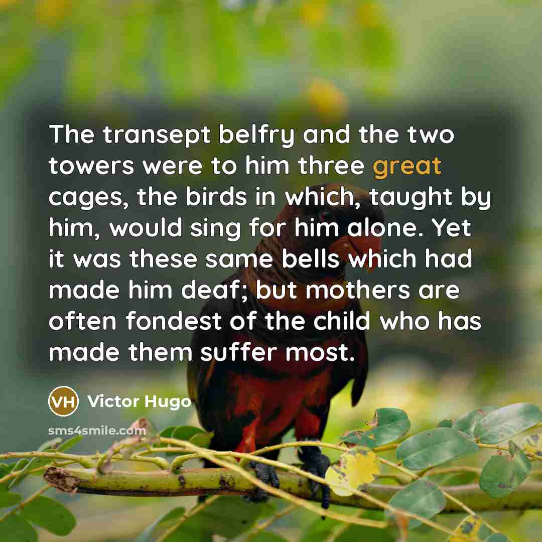 “The transept belfry and the two towers were to him…” quote by Victor Hugo