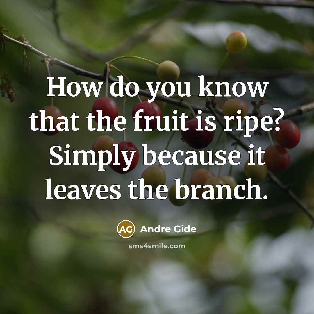 “How do you know that the fruit is ripe? Simply…” quote by Andre Gide