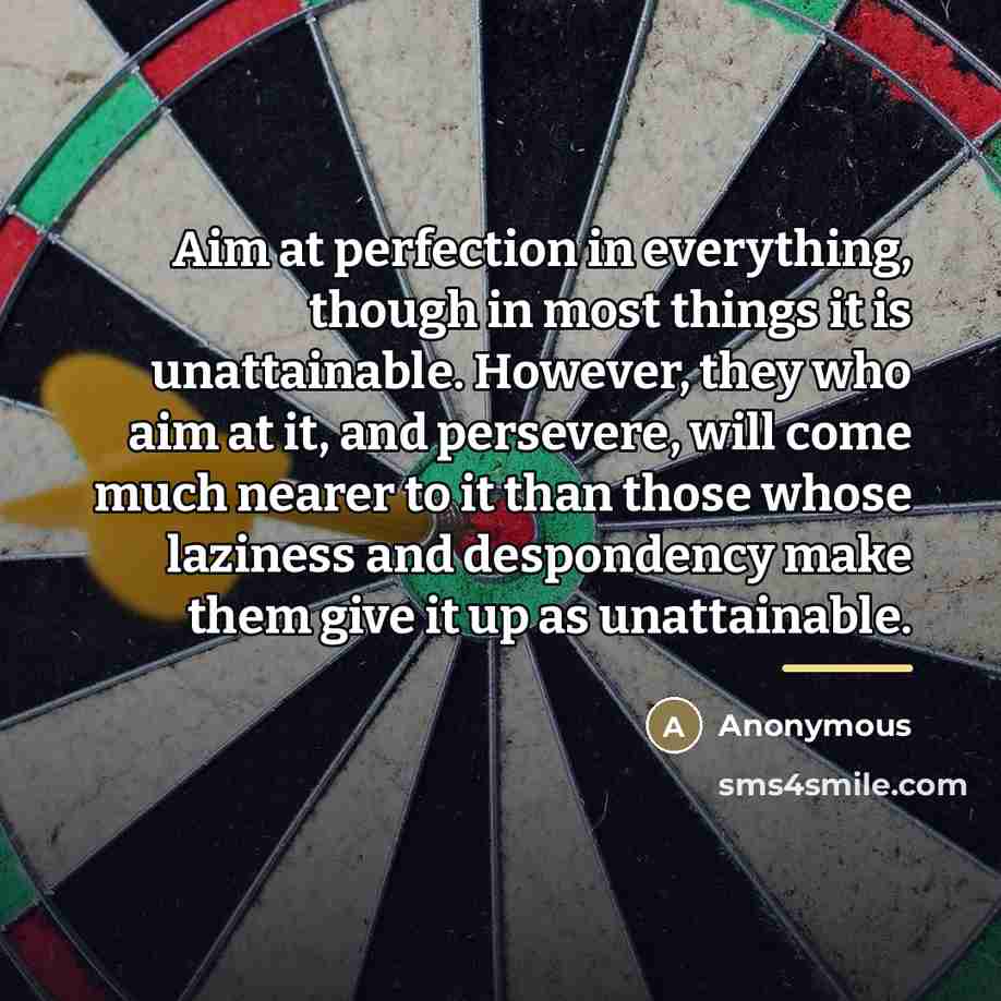 “Aim at perfection in everything, though in most things it…” quote by Anonymous