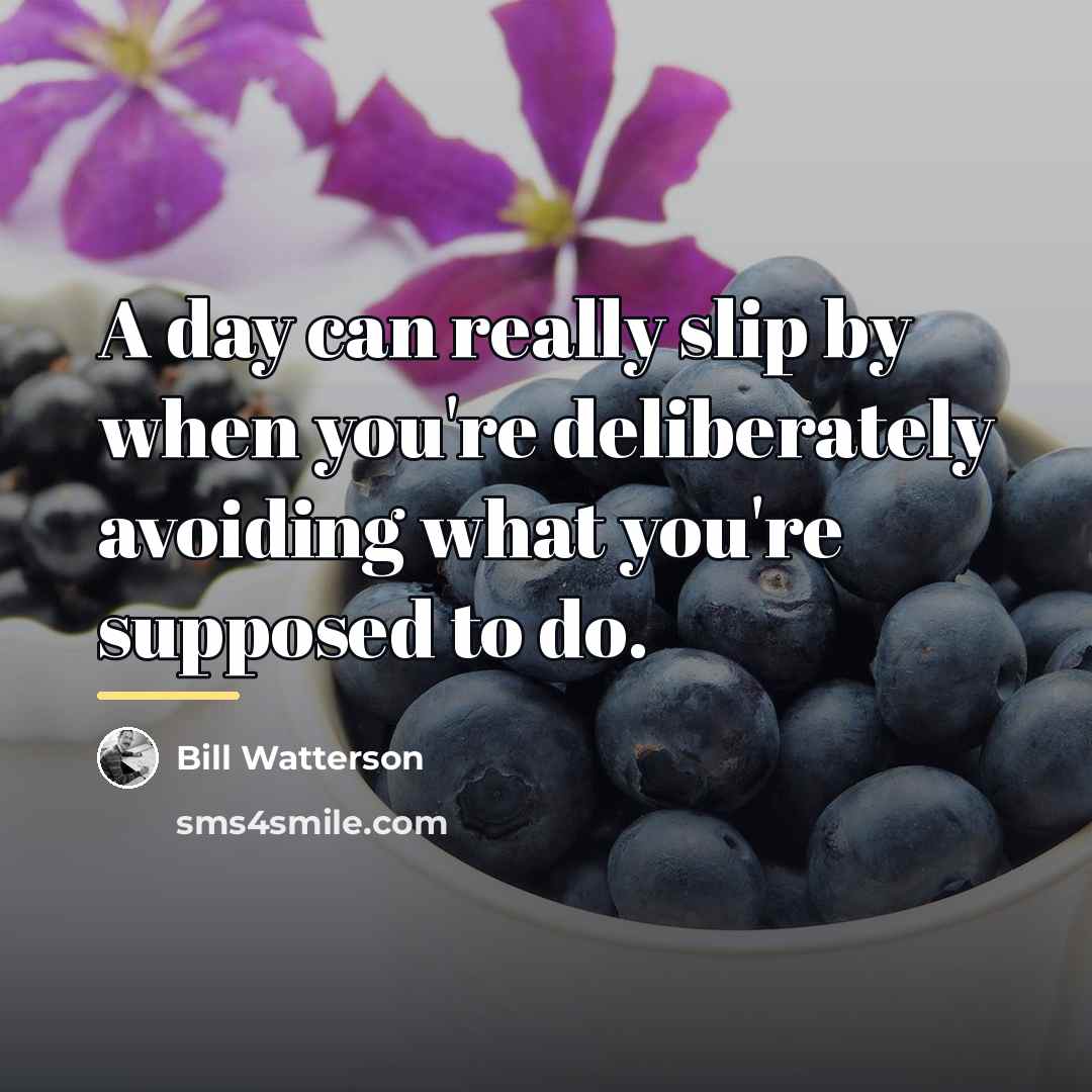 “A day can really slip by when you're deliberately avoiding…” quote by Bill Watterson