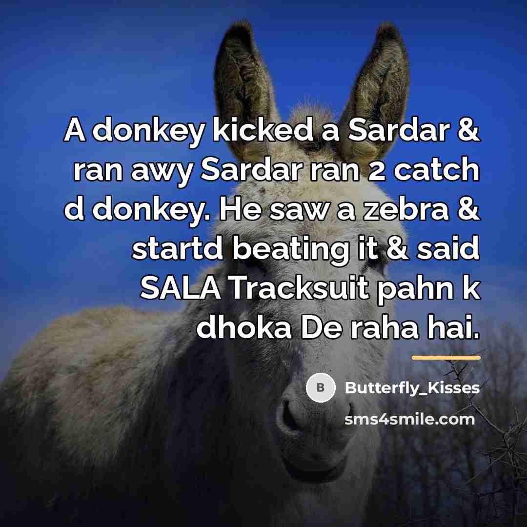 “A donkey kicked a Sardar & ran awy Sardar ran…” quote by Butterfly_Kisses