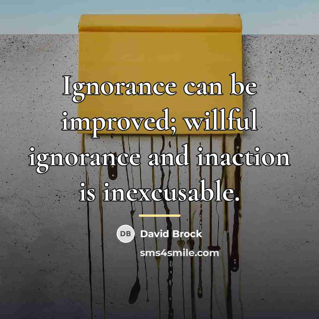 “Ignorance can be improved; willful ignorance and inaction is inexcusable.…” quote by David Brock