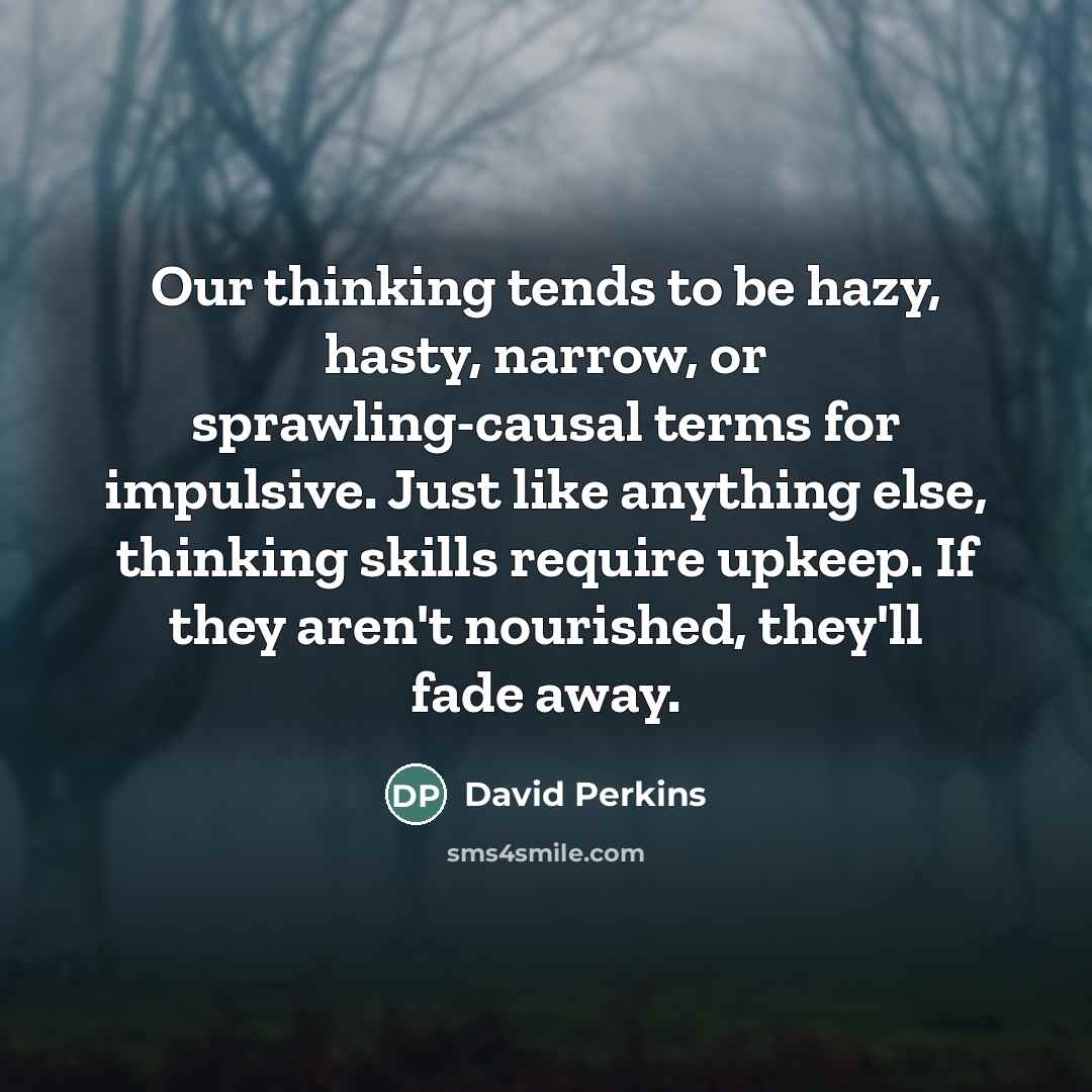 “Our thinking tends to be hazy, hasty, narrow, or sprawling-causal…” quote by David Perkins
