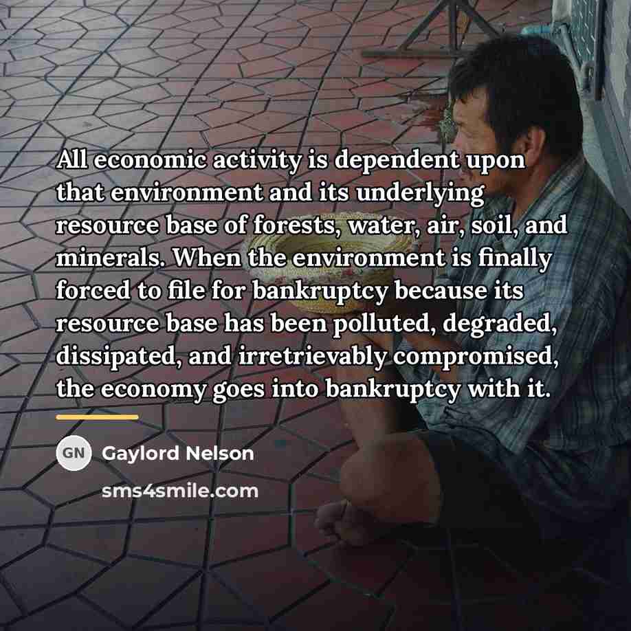 “All economic activity is dependent upon that environment and its…” quote by Gaylord Nelson