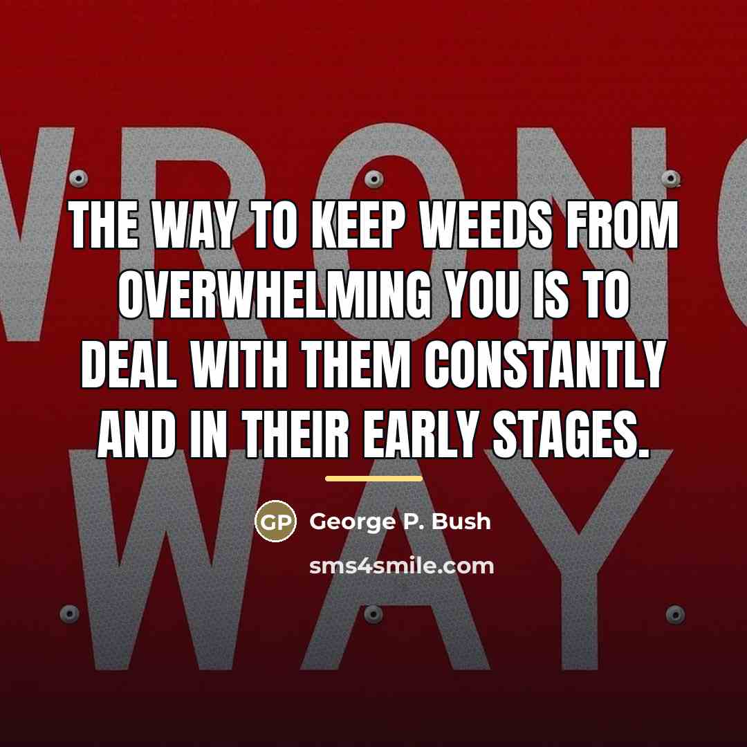 “The way to keep weeds from overwhelming you is to…” quote by George P. Bush