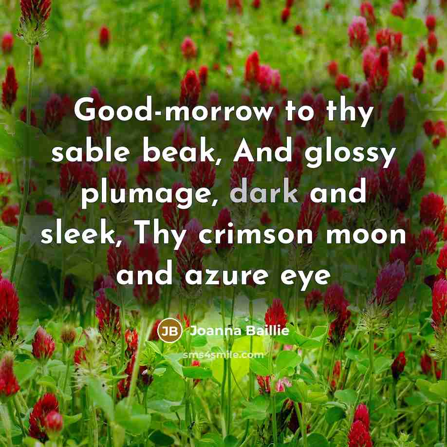 “Good-morrow to thy sable beak, And glossy plumage, dark and…” quote by Joanna Baillie