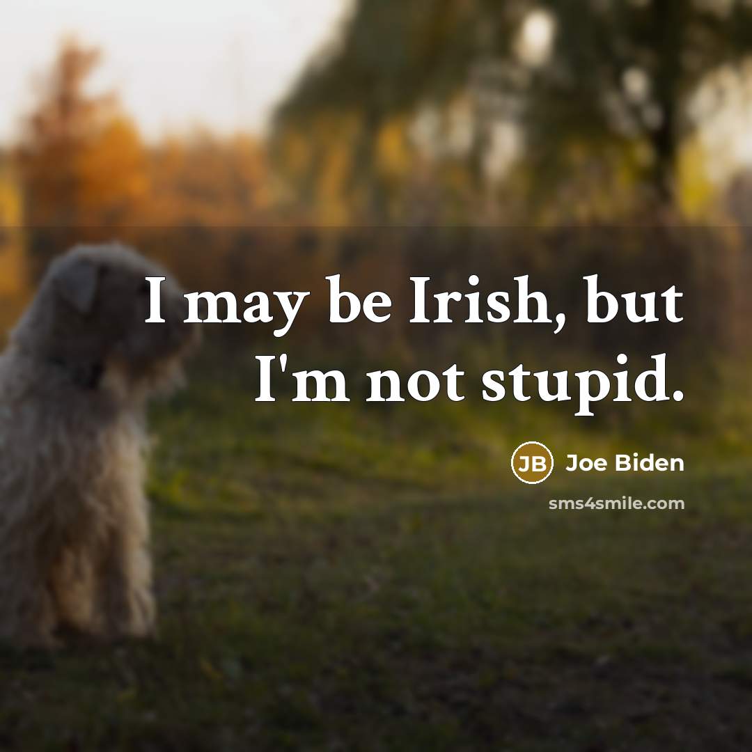 “I may be Irish, but I'm not stupid.…” quote by Joe Biden
