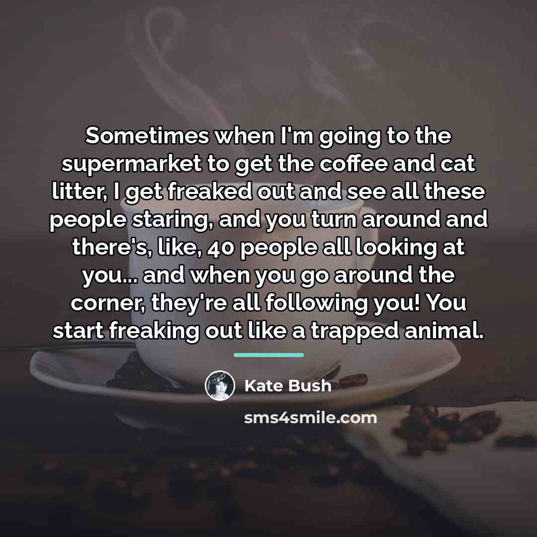 “Sometimes when I'm going to the supermarket to get the…” quote by Kate Bush
