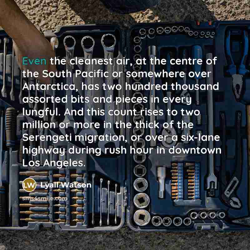 “Even the cleanest air, at the centre of the South…” quote by Lyall Watson