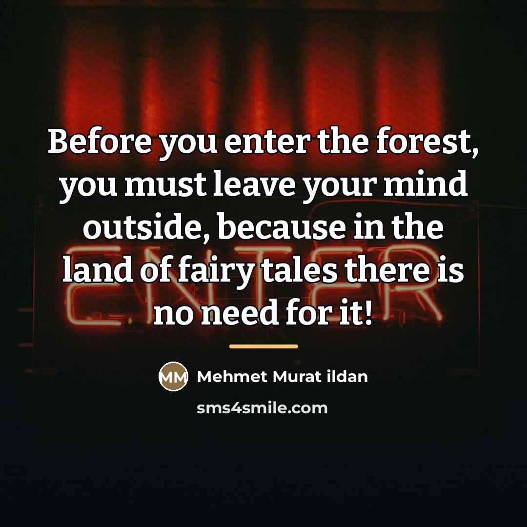 “Before you enter the forest, you must leave your mind…” quote by Mehmet Murat Ildan