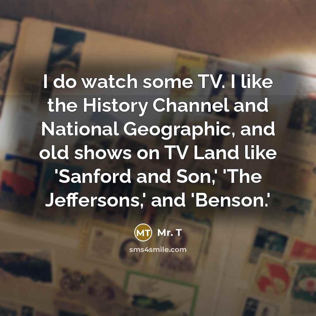 “I do watch some TV. I like the History Channel…” quote by Mr. T