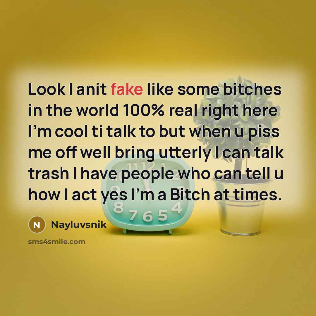 “Look I anit fake like some bitches in the world 100% real right here I'm cool ti talk to but when u piss me off well bring utterly I can talk trash I have people who can tell u how I act yes I'm a Bitch at times.” quote by Nayluvsnik