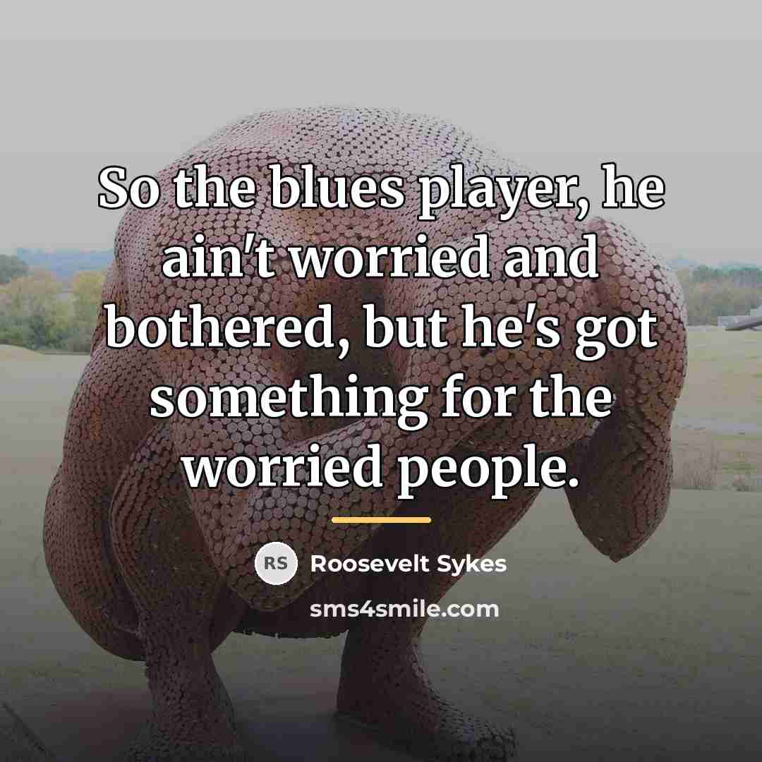 “So the blues player, he ain't worried and bothered, but…” quote by Roosevelt Sykes