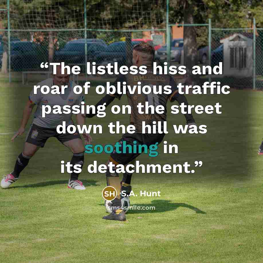 “The listless hiss and roar of oblivious traffic passing on the street down the hill was soothing in its detachment.” quote by S.A. Hunt
