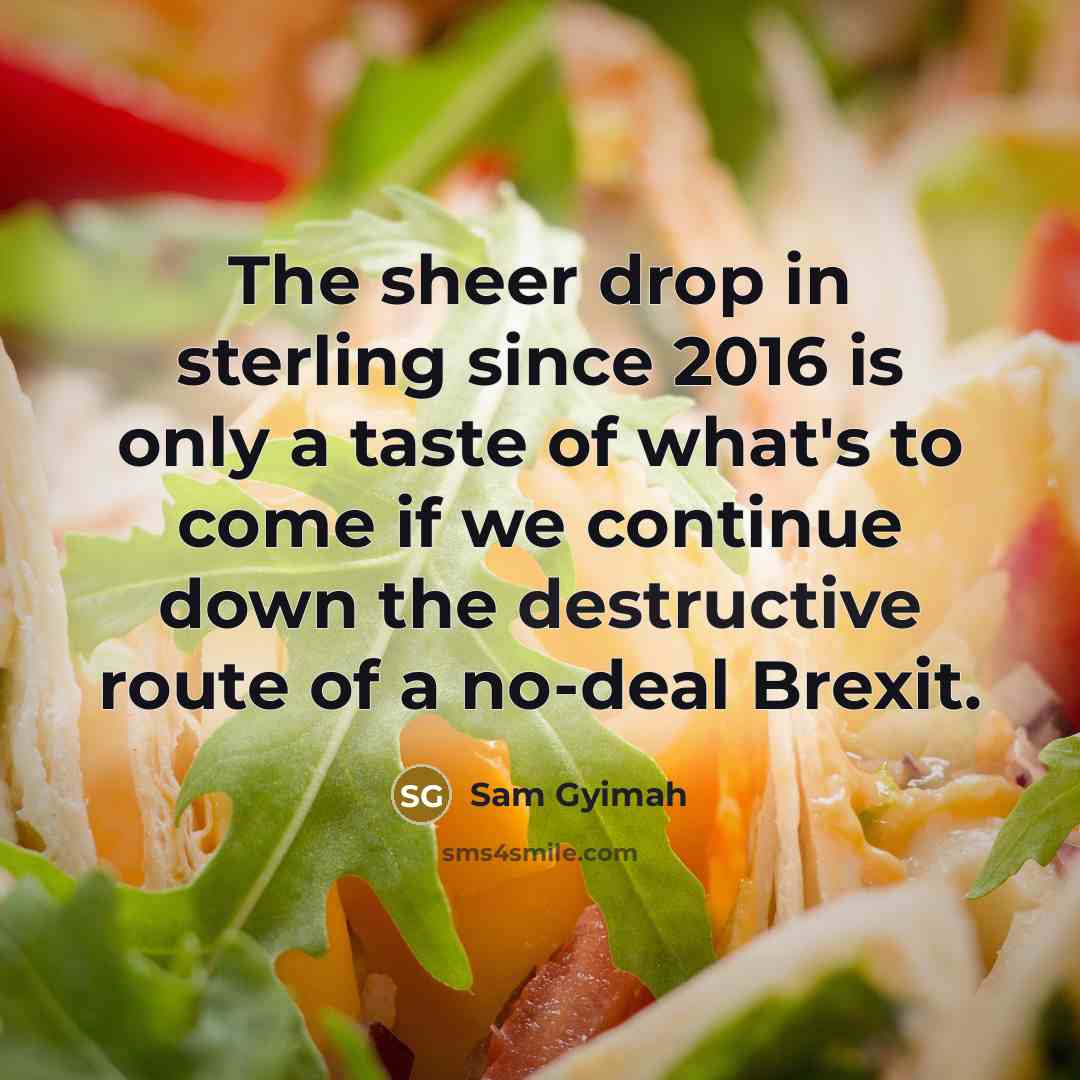 “The sheer drop in sterling since 2016 is only a…” quote by Sam Gyimah