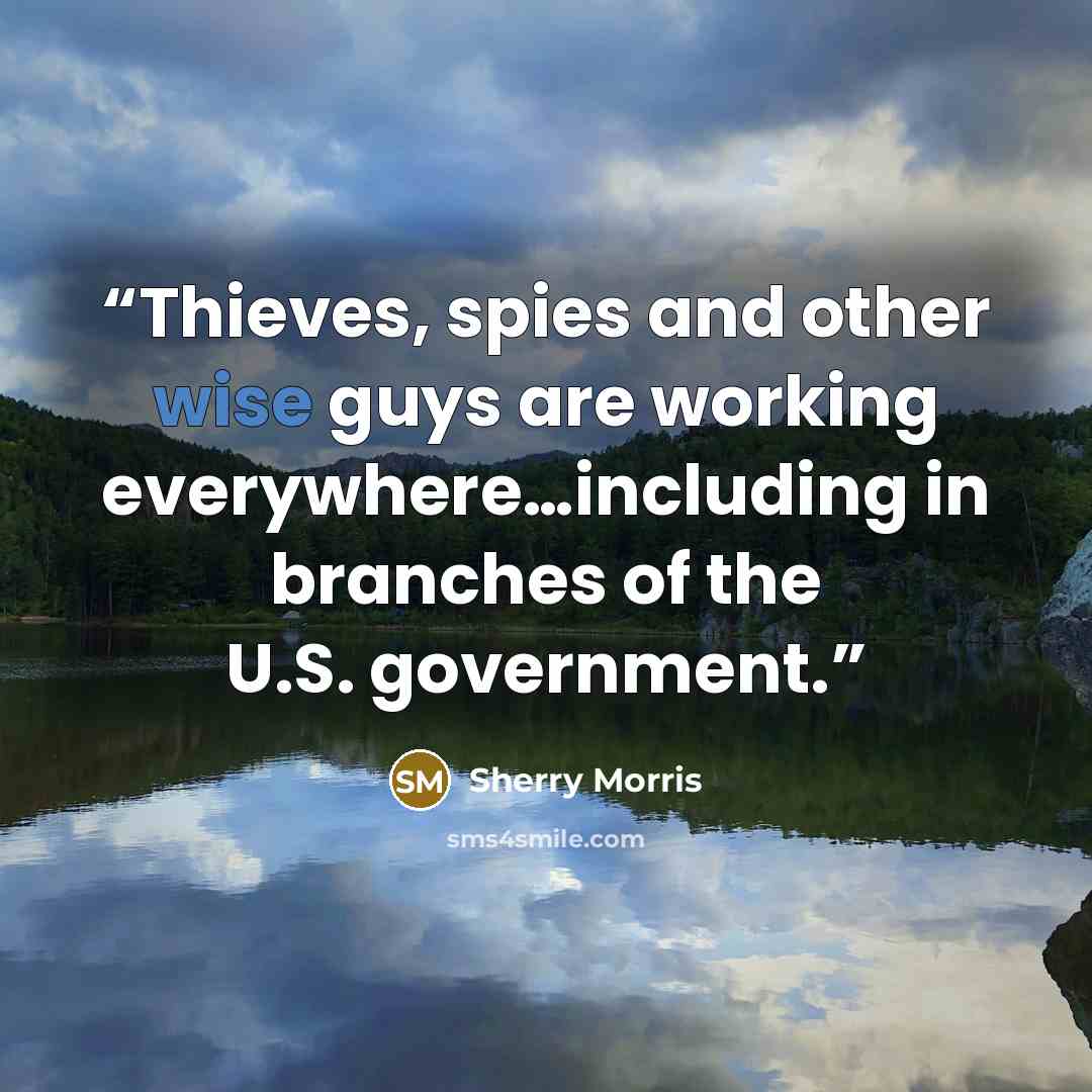 “Thieves, spies and other wise guys are working everywhere…including in branches of the U.S. government.” quote by Sherry Morris