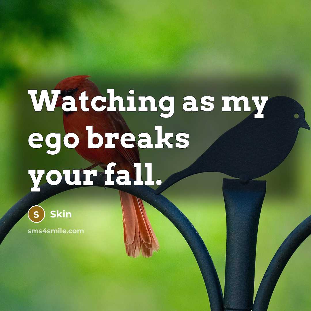 “Watching as my ego breaks your fall.” quote by Skin