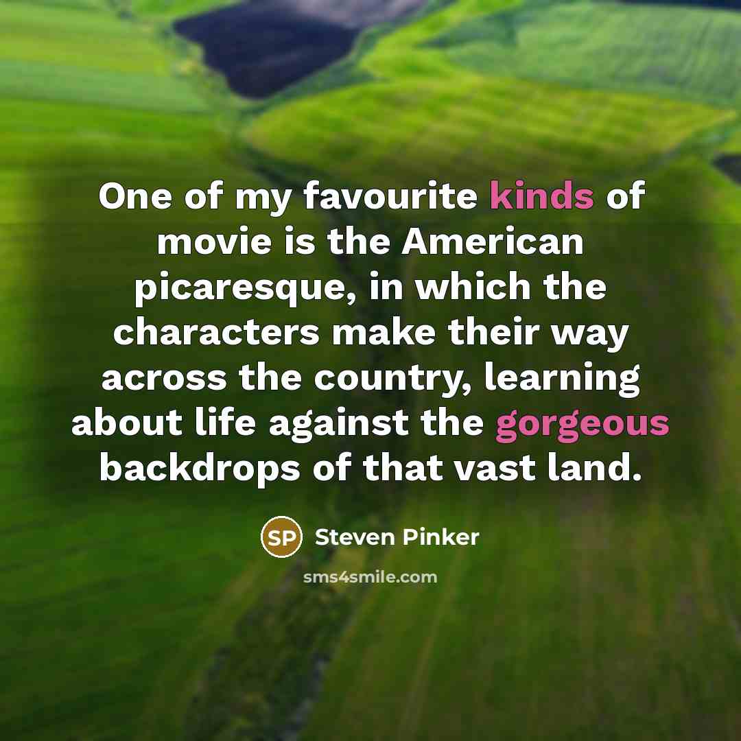 “One of my favourite kinds of movie is the American…” quote by Steven Pinker