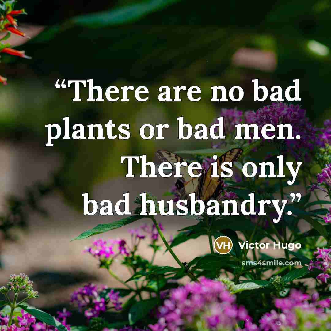 “There are no bad plants or bad men. There is only bad husbandry.” quote by Victor Hugo