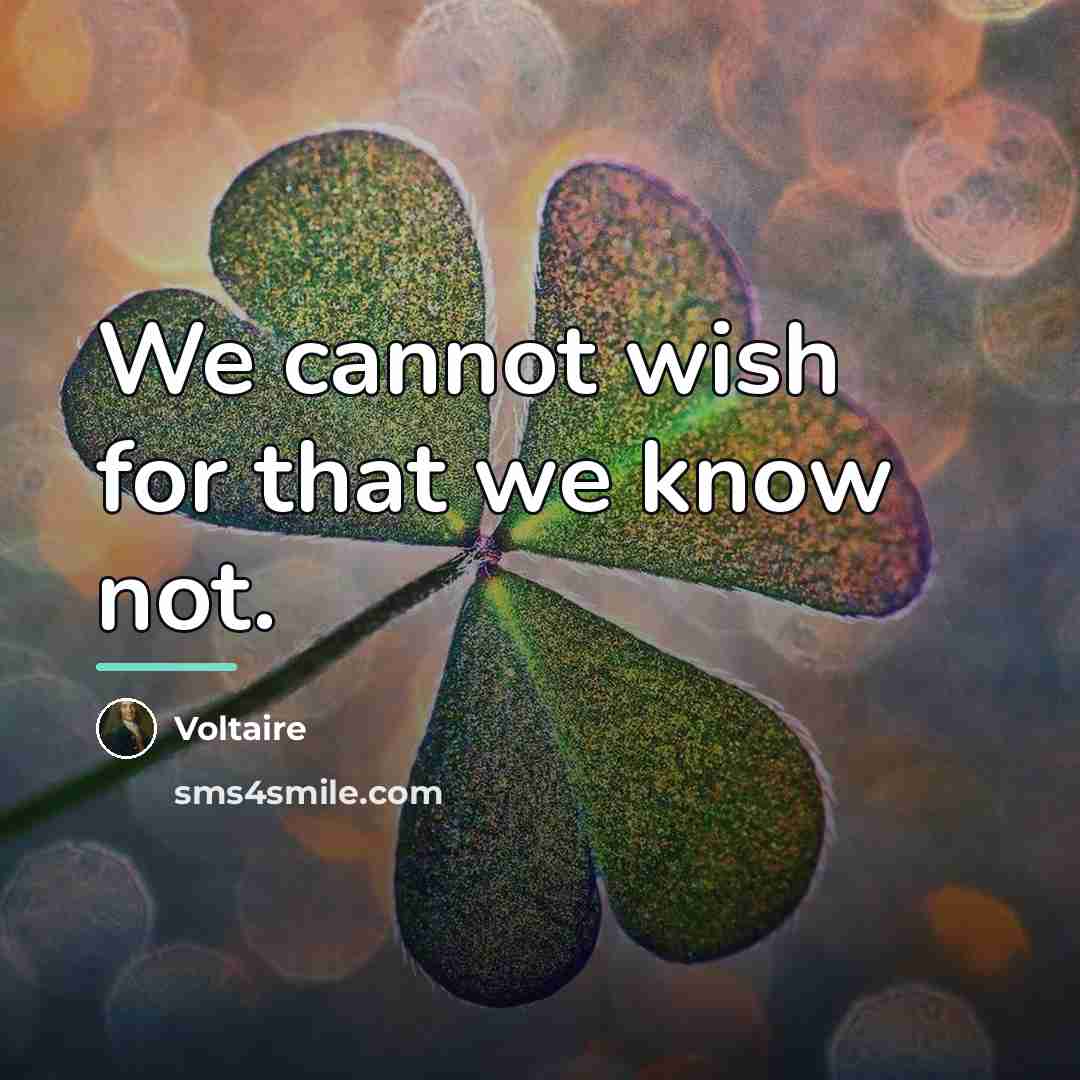 “We cannot wish for that we know not.…” quote by Voltaire