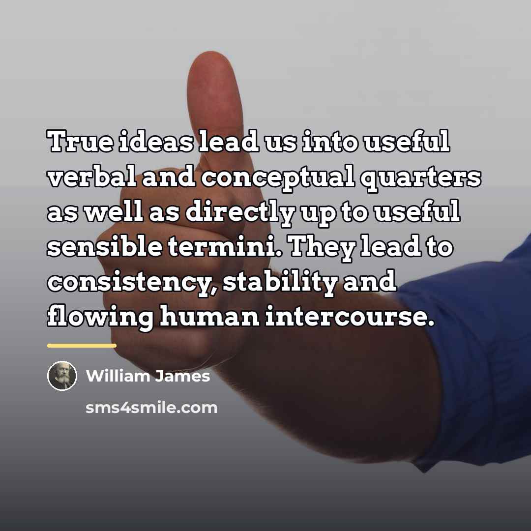 “True ideas lead us into useful verbal and conceptual quarters…” quote by William James