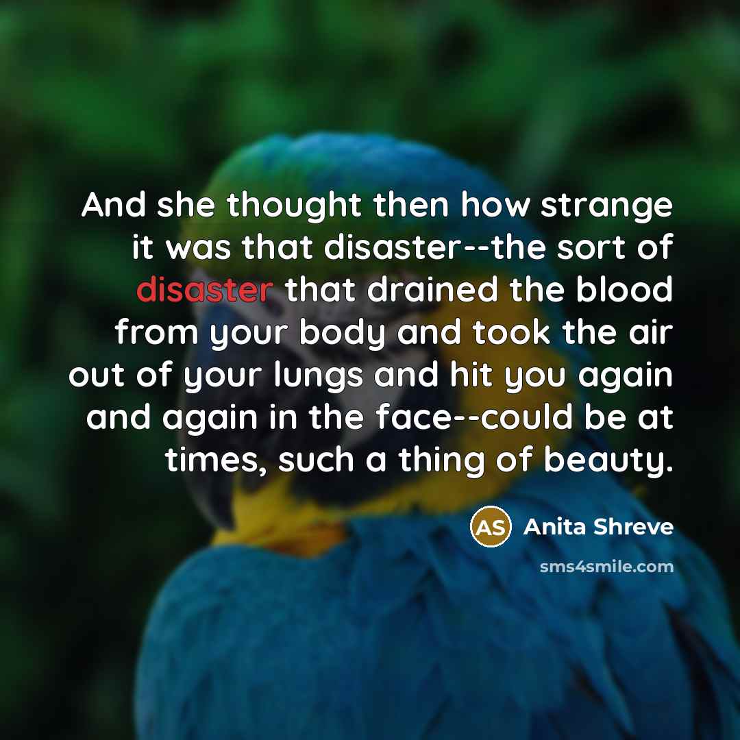 “And she thought then how strange it was that disaster--the…” quote by Anita Shreve