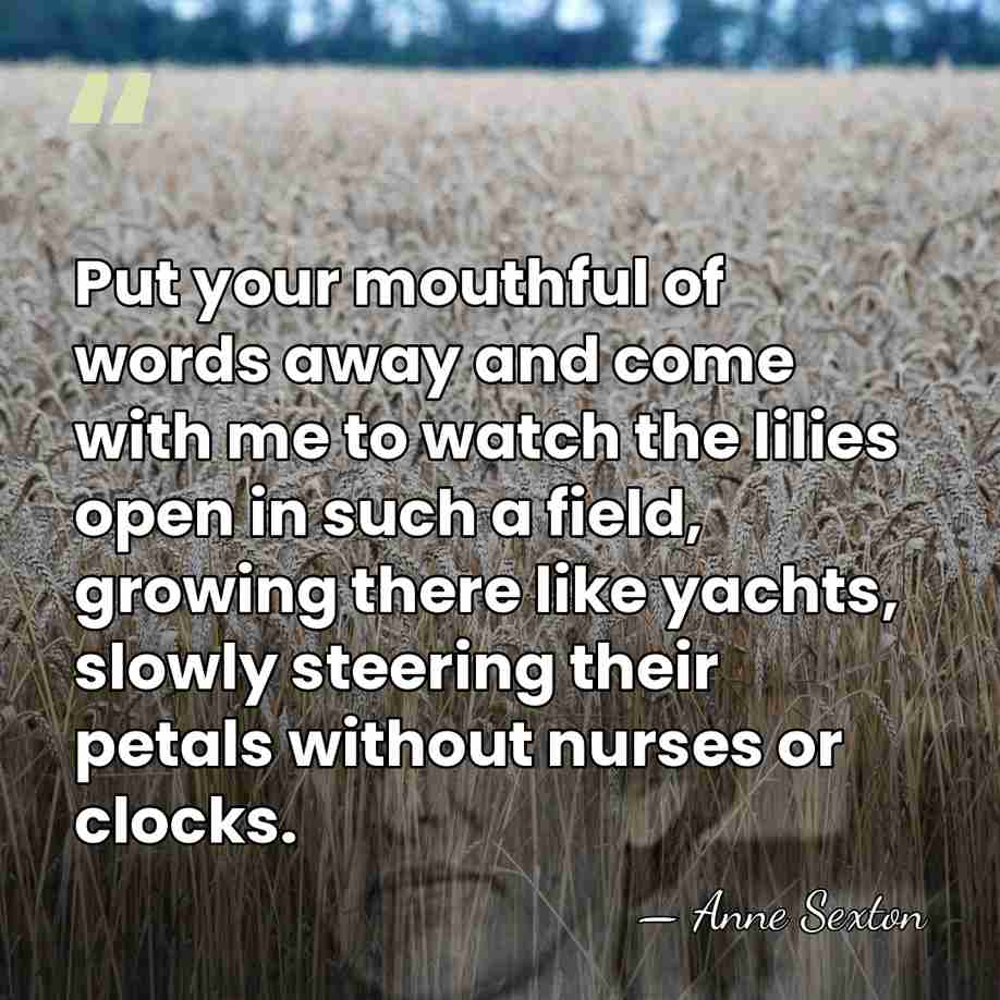 Put your mouthful of words away and come with me to watch&hellip; - Anne Sexton