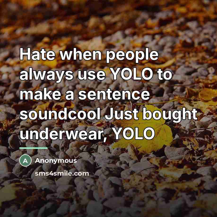 “Hate when people always use YOLO to make a sentence…” quote by Anonymous
