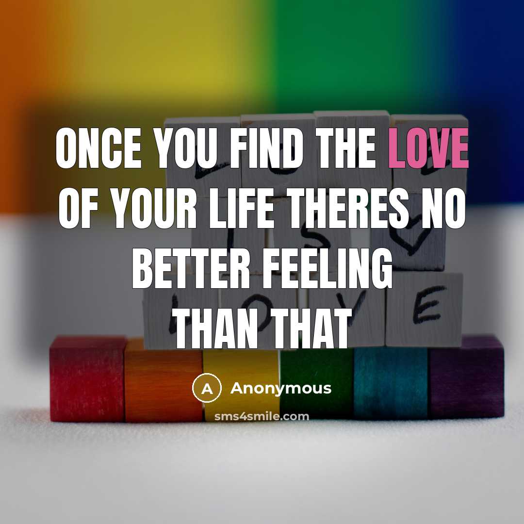 “Once you find the love of your life theres no better feeling than that” quote by Anonymous