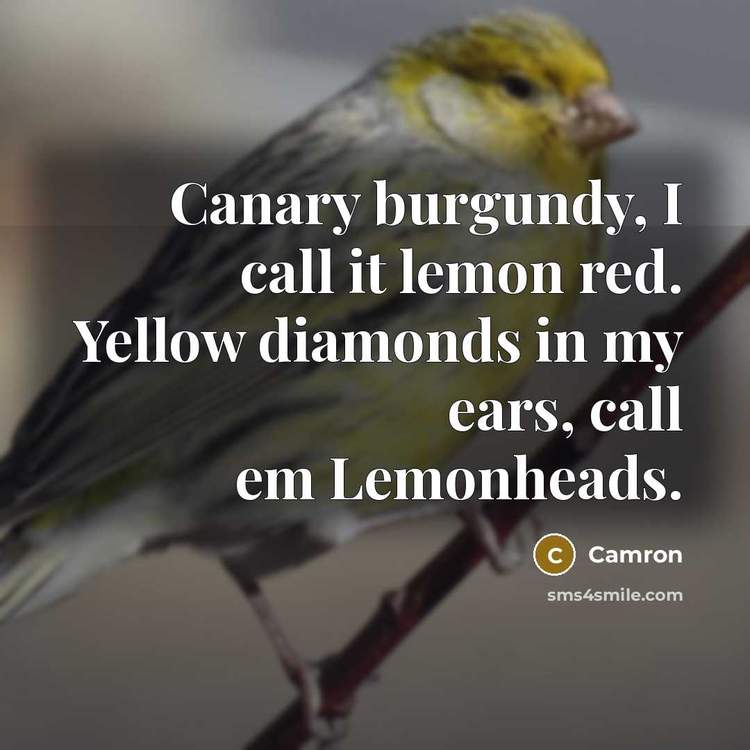 “Canary burgundy, I call it lemon red. Yellow diamonds in…” quote by Camron