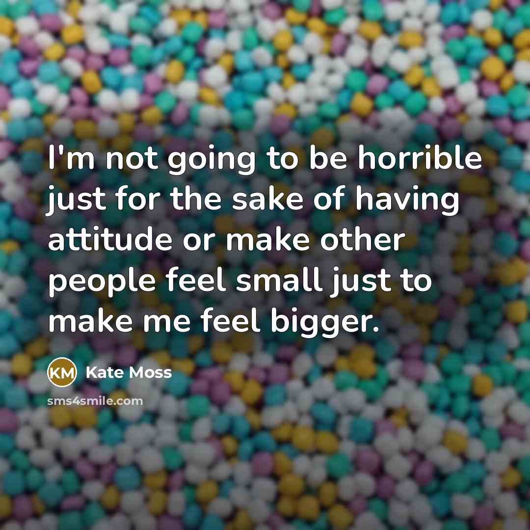 “I'm not going to be horrible just for the sake…” quote by Kate Moss