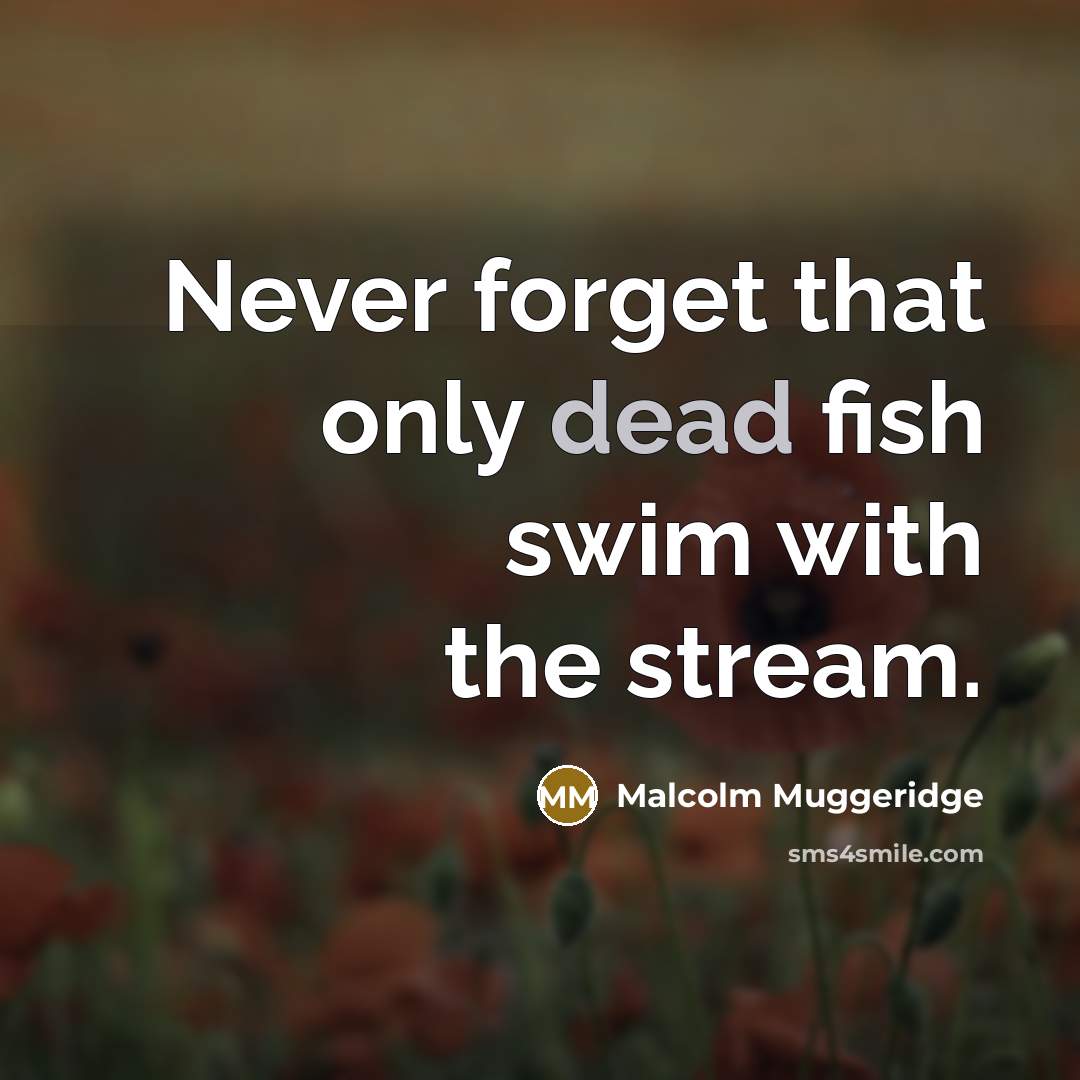 “Never forget that only dead fish swim with the stream.” quote by Malcolm Muggeridge