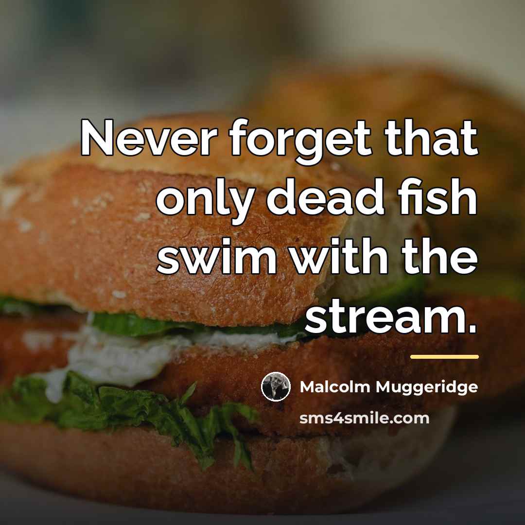 “Never forget that only dead fish swim with the stream.…” quote by Malcolm Muggeridge