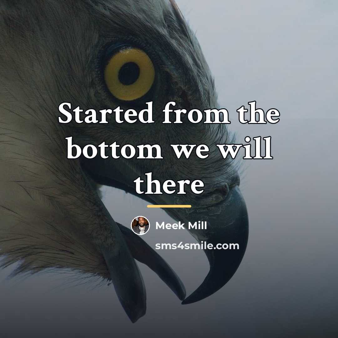 “Started from the bottom we will there…” quote by Meek Mill