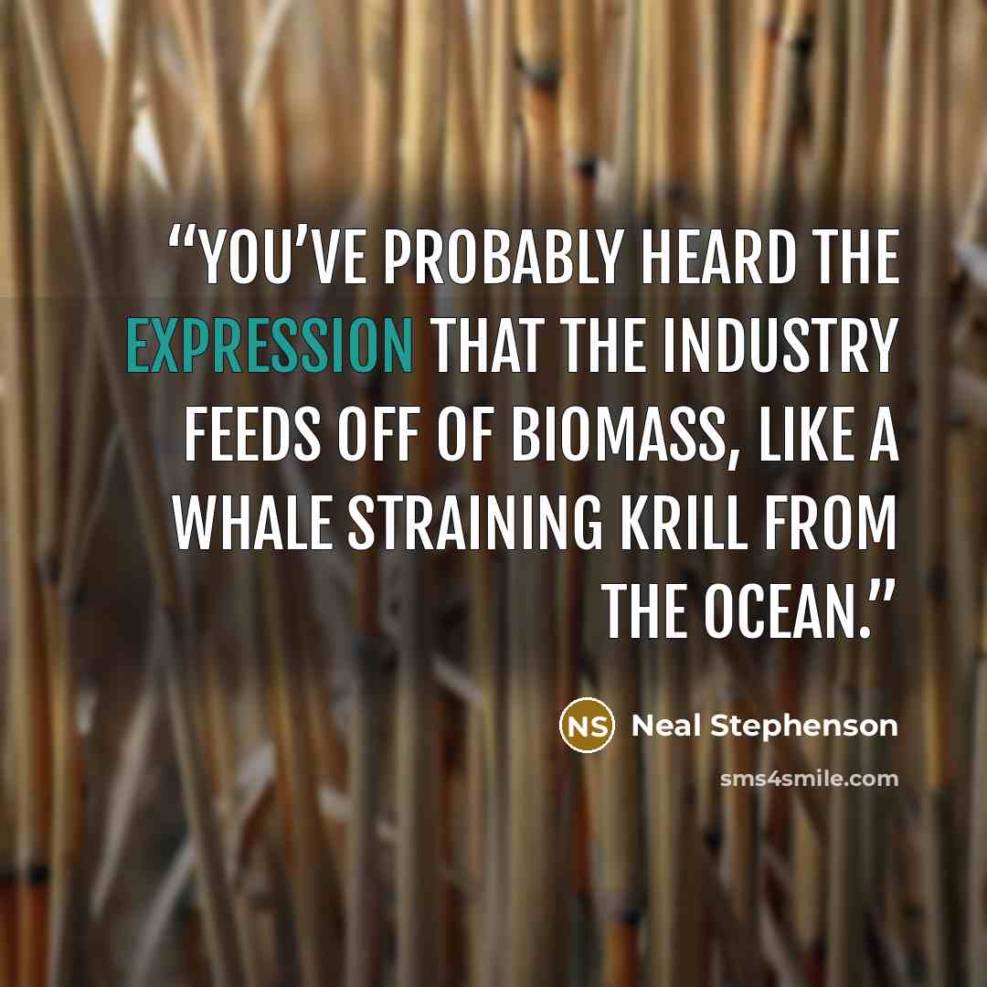 “You’ve probably heard the expression that the Industry feeds off of biomass, like a whale straining krill from the ocean.” quote by Neal Stephenson