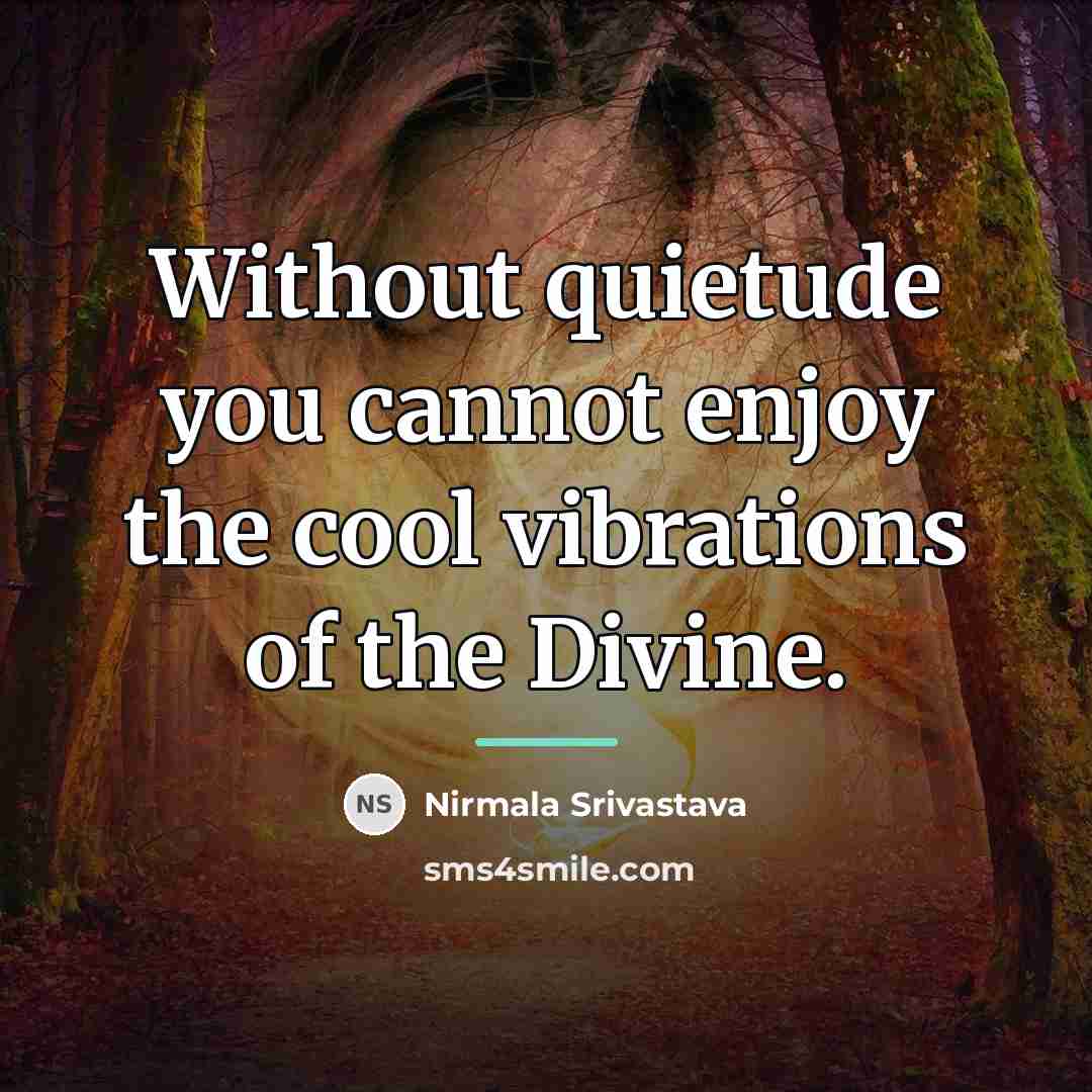 “Without quietude you cannot enjoy the cool vibrations of the…” quote by Nirmala Srivastava