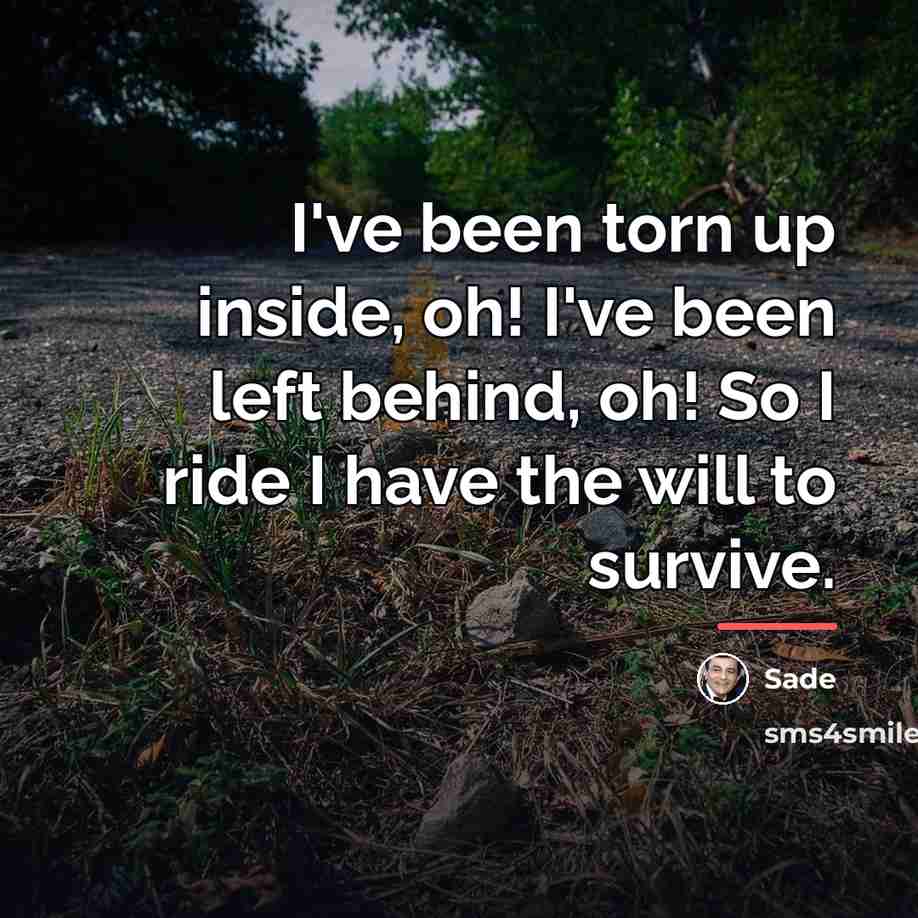 “I've been torn up inside, oh! I've been left behind,…” quote by Sade