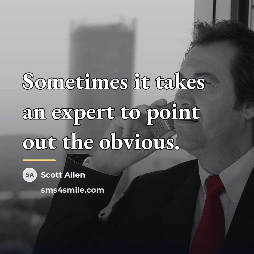 “Sometimes it takes an expert to point out the obvious.…” quote by Scott Allen