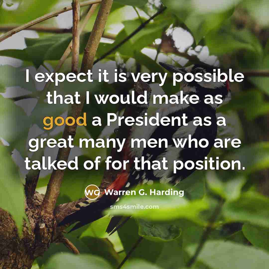 “I expect it is very possible that I would make as good a President as a great many men who are talked of for that position.” quote by Warren G. Harding