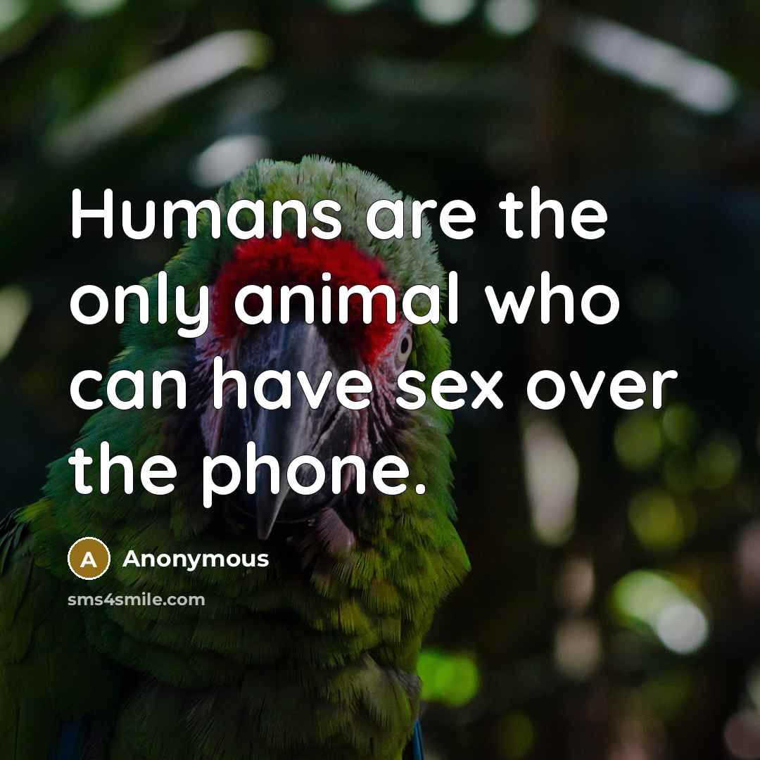“Humans are the only animal who can have sex over…” quote by Anonymous