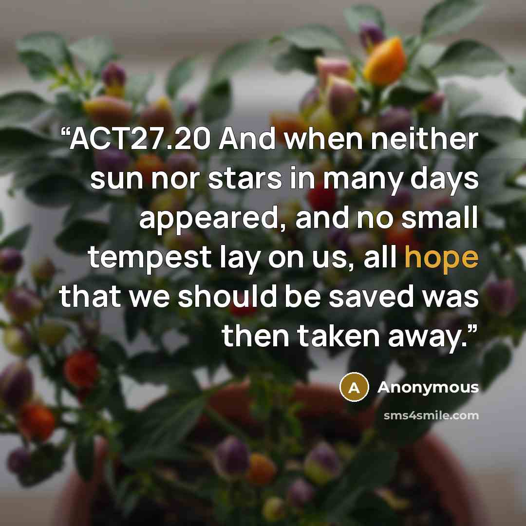 “ACT27.20 And when neither sun nor stars in many days appeared, and no small tempest lay on us, all hope that we should be saved was then taken away.” quote by Anonymous
