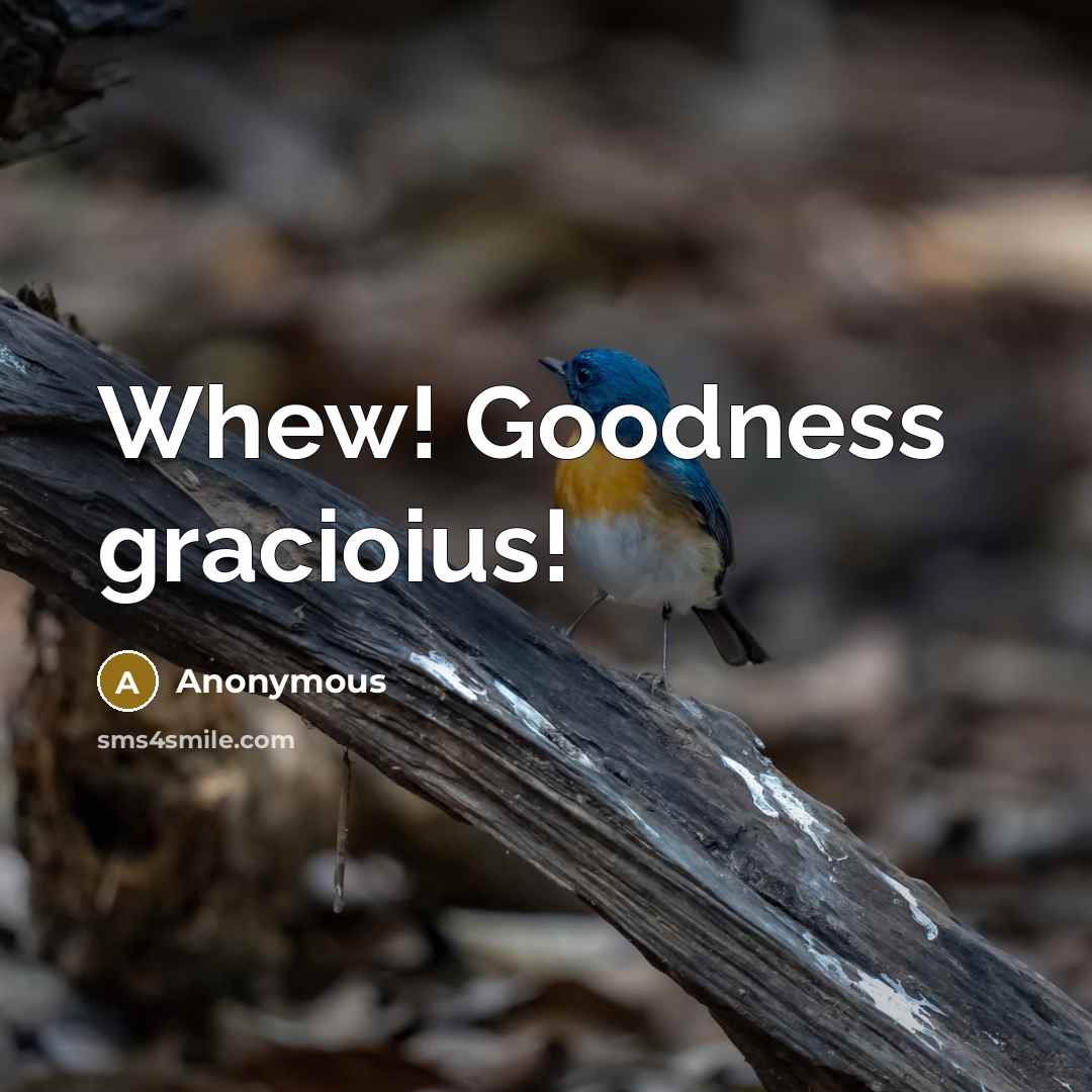 “Whew! Goodness gracioius!” quote by Anonymous