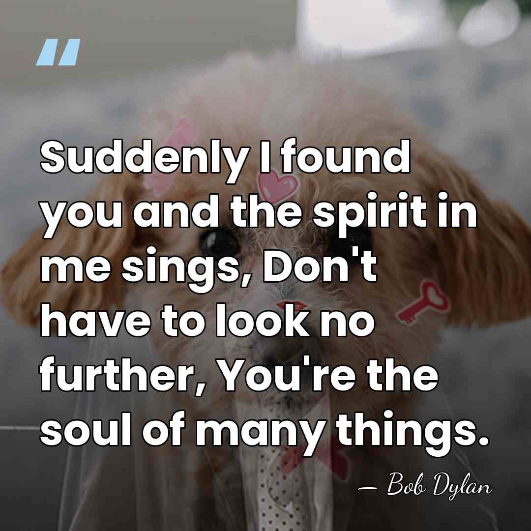 Suddenly I found you and the spirit in me sings, Don't have&hellip; - Bob Dylan