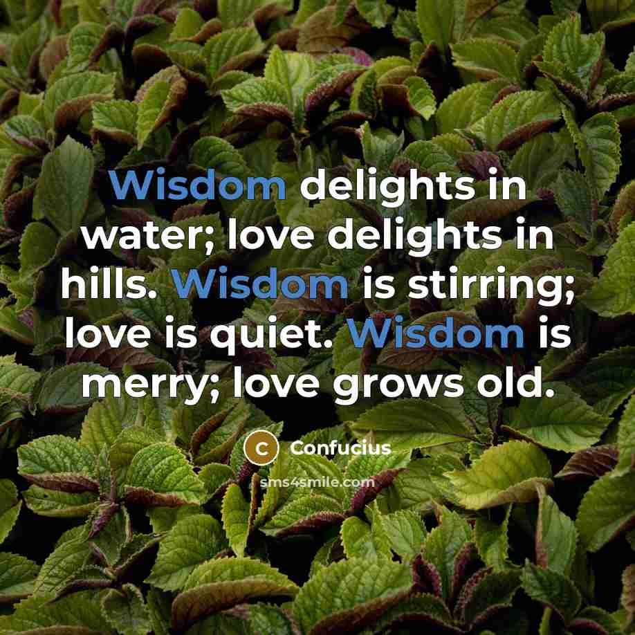 “Wisdom delights in water; love delights in hills. Wisdom is…” quote by Confucius