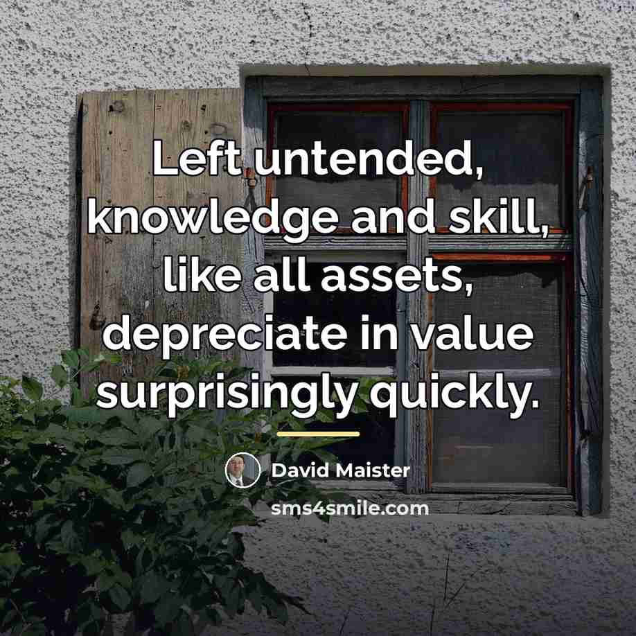 “Left untended, knowledge and skill, like all assets, depreciate in…” quote by David Maister