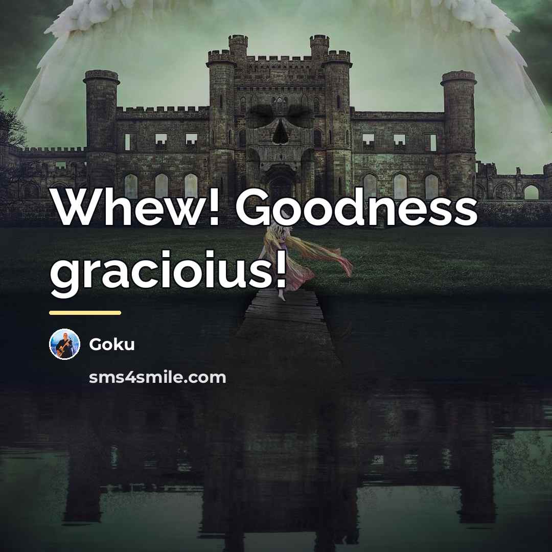 “Whew! Goodness gracioius!…” quote by Goku
