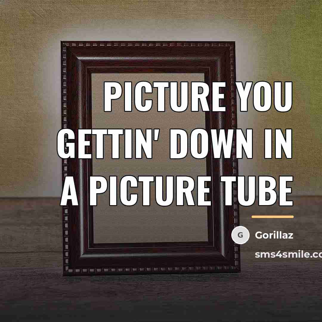 “Picture you gettin' down in a picture tube…” quote by Gorillaz