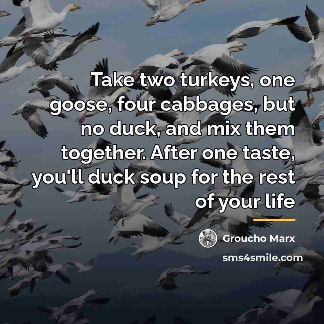 “Take two turkeys, one goose, four cabbages, but no duck,…” quote by Groucho Marx